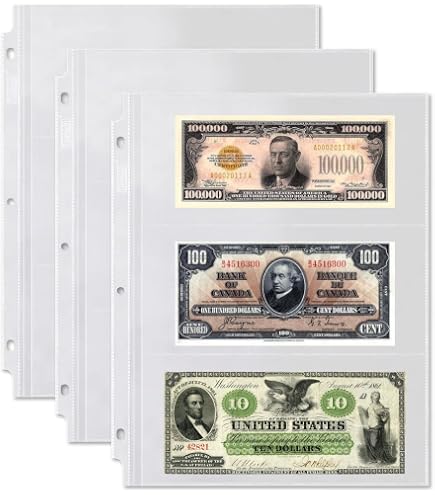 Amazon.com : 20 Sheets Currency Pages for Paper Money Collection